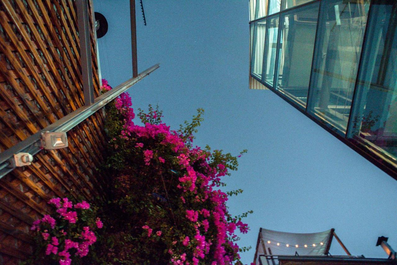 Bella 269 Guest House Santiago Dış mekan fotoğraf